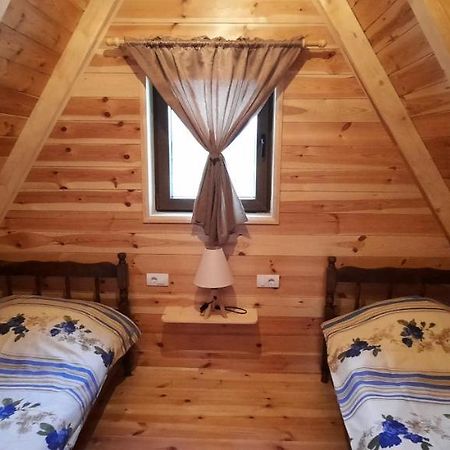 Žabljak Mountain House Bjankaヴィラ エクステリア 写真