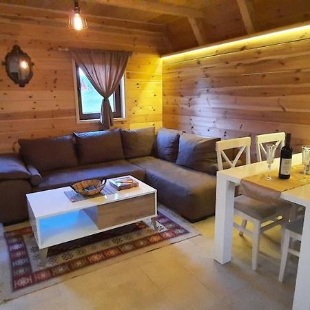 Žabljak Mountain House Bjankaヴィラ エクステリア 写真