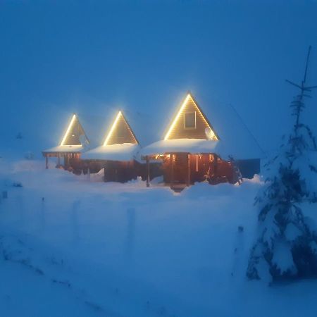 Žabljak Mountain House Bjankaヴィラ エクステリア 写真