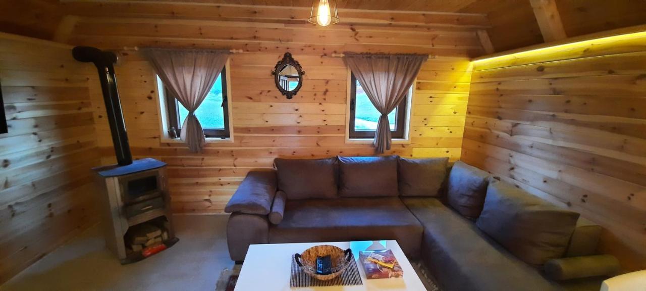 Žabljak Mountain House Bjankaヴィラ エクステリア 写真