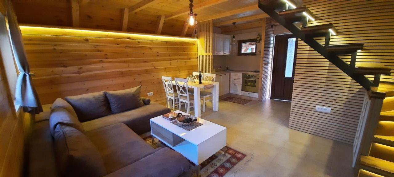 Žabljak Mountain House Bjankaヴィラ エクステリア 写真