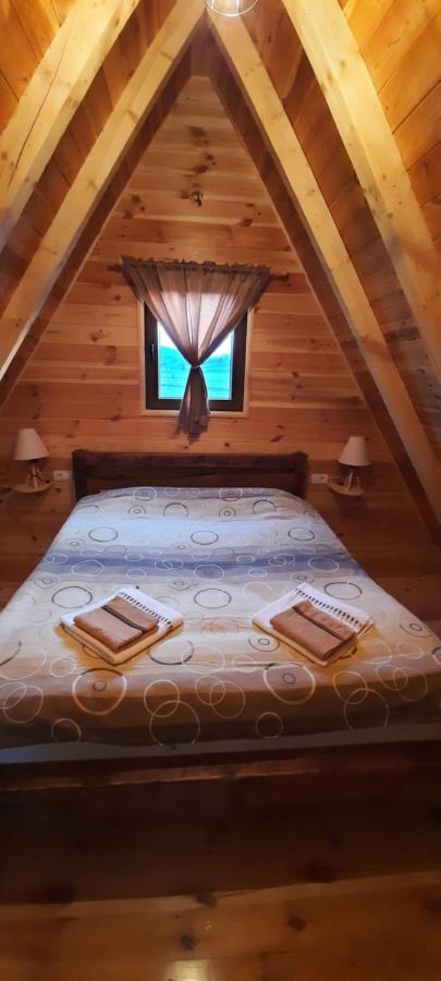 Žabljak Mountain House Bjankaヴィラ エクステリア 写真