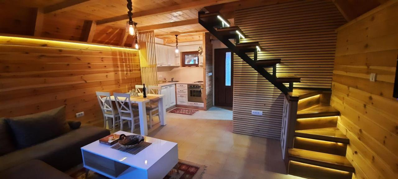 Žabljak Mountain House Bjankaヴィラ エクステリア 写真